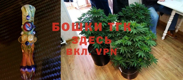 ECSTASY Рославль