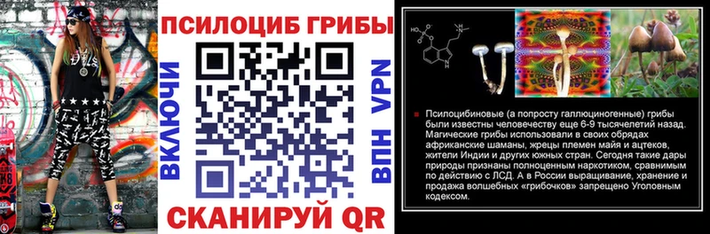 Галлюциногенные грибы Psilocybe  KRAKEN вход  Княгинино  купить  сайты 